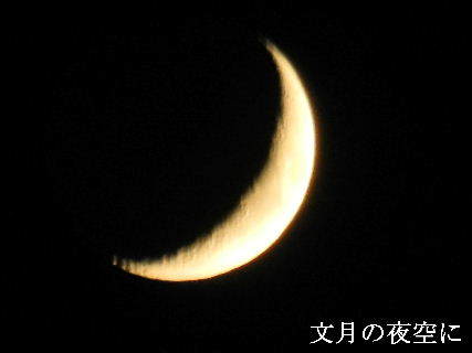 2023-07.22　文月の夜空に (2).JPG