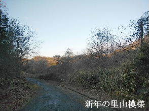 2024-01.01　新年を迎えた里山模様 (4).jpg