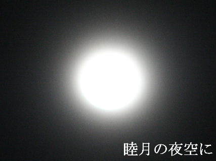 2024-01.24　睦月の夜空に (1).JPG