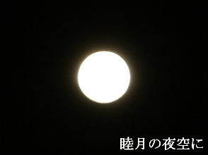 2024-01.24　睦月の夜空に (3).JPG