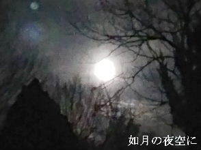 2024-02.24　如月の夜空に (1).jpg