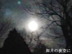 2024-02.24　如月の夜空に (2).jpg