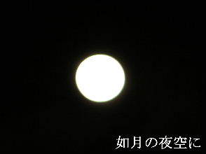 2024-02.25　如月の夜空に (1).JPG