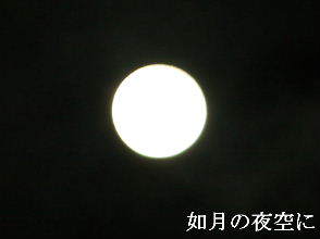 2024-02.25　如月の夜空に (2).JPG