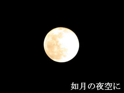 2024-02.25　如月の夜空に (3).JPG