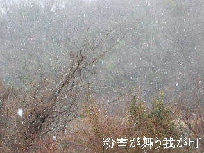 2024-03.20　粉雪が舞う我が町 (4).JPG