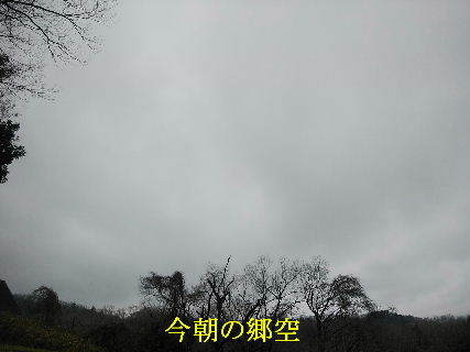 2024-03.29　今朝の郷空 (5).jpg
