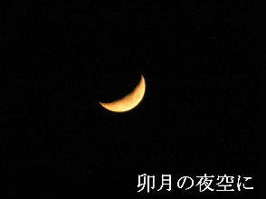 2024-04.14　卯月の夜空に (1).JPG