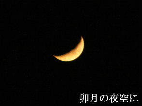 2024-04.14　卯月の夜空に (3).JPG