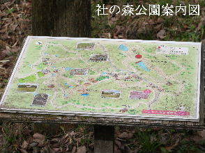 2024-04.17　社の森公園にて (12).JPG