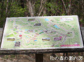 2024-04.17　社の森公園にて (9).JPG