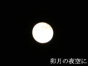 2024-04.25　卯月の夜空に (1).JPG