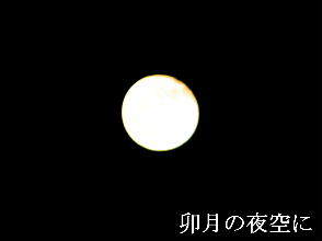2024-04.25　卯月の夜空に (2).JPG