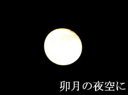 2024-04.25　卯月の夜空に (3).JPG